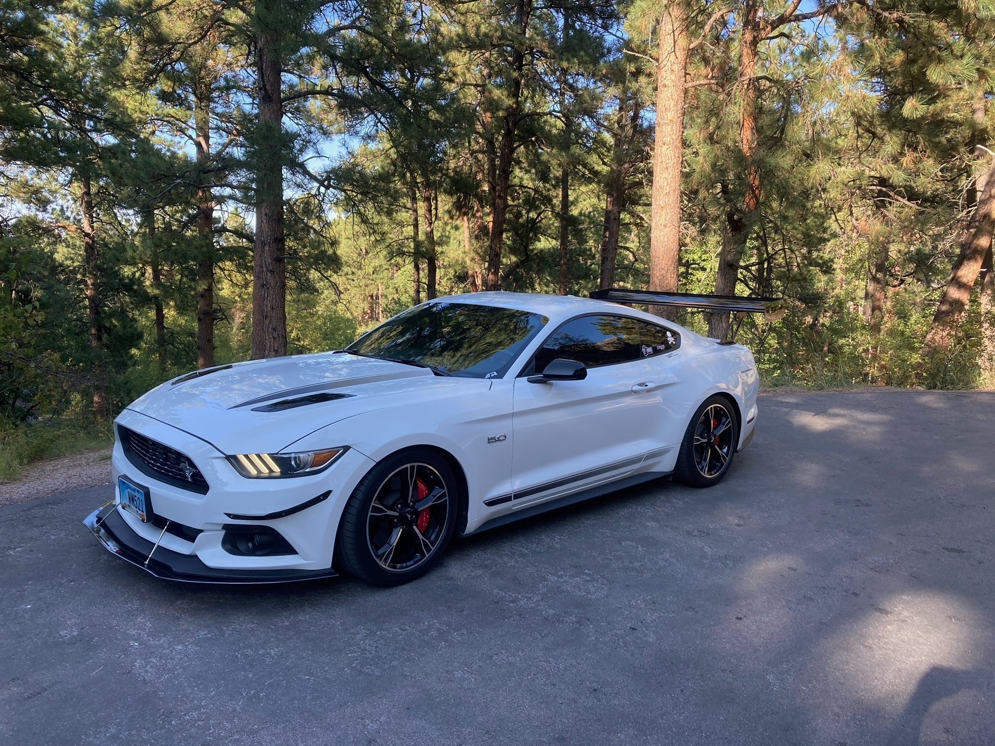 Karbónové nastaviteľné krídlo Ford Mustang S550 GT-250 (2015–2017)