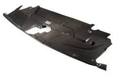 APR Carbon Fiber Radiator Cooling Plate Ford Mustang S650 (2024–)