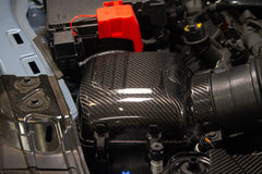 Carbon Fiber Intake Covers Ford Mustang S650 2024 +