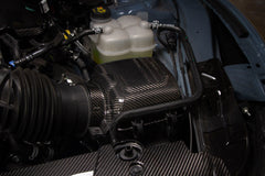 Carbon Fiber Intake Covers Ford Mustang S650 2024 +