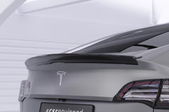 Zadný spoiler Tesla Model Y 2020–02/2025 (pred facelift)