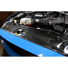 APR carbon fiber radiator cooling shroud for Ford Mustang