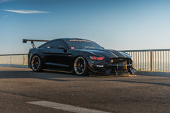APR Carbon Fiber Front Splitter for Ford Shelby Mustang GT350 - including support rods